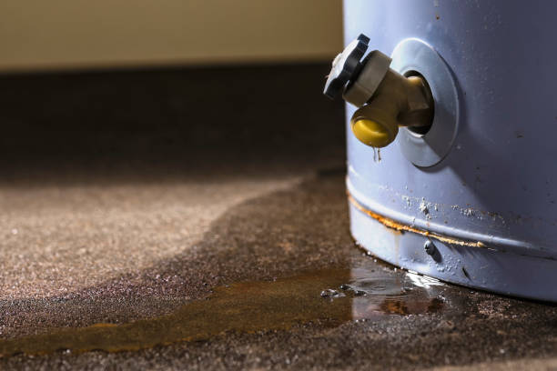 Best Flood damage cleanup  in Fort Madison, IA