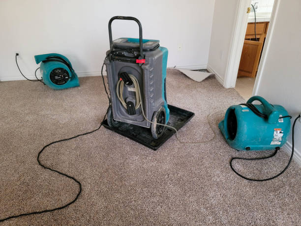 Best Professional water damage repair  in Fort Madison, IA