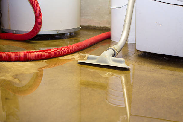 Best Water damage restoration near me  in Fort Madison, IA