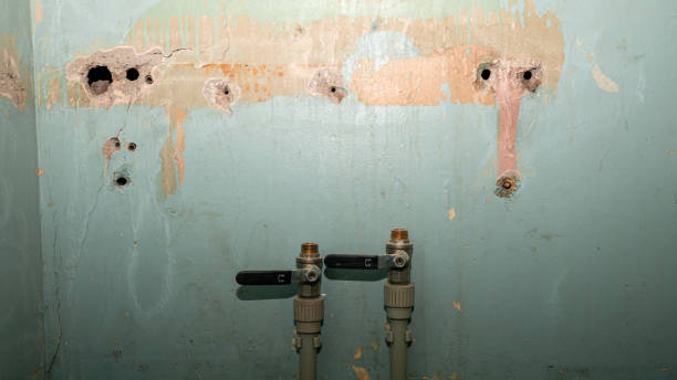 Best Carpet water damage restoration  in Fort Madison, IA