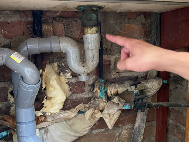 Best Sewage cleanup and water damage restoration  in Fort Madison, IA